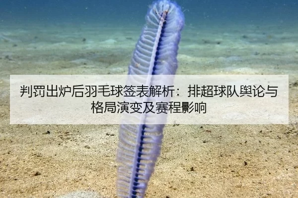 判罚出炉后羽毛球签表解析：排超球队舆论与格局演变及赛程影响